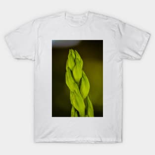 Giant Stalk T-Shirt